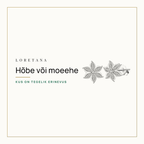 Hõbe või moeehe — Kus on tegelik erinevus · Loretana