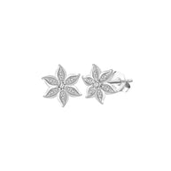 925 silver marquise flower stud earrings with AAAAA zirconia botanical design

